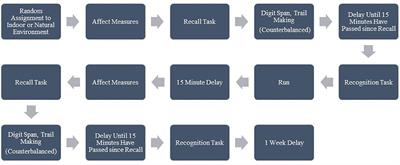 Natural Is Not Always Better: The Varied Effects of a Natural Environment and Exercise on Affect and Cognition